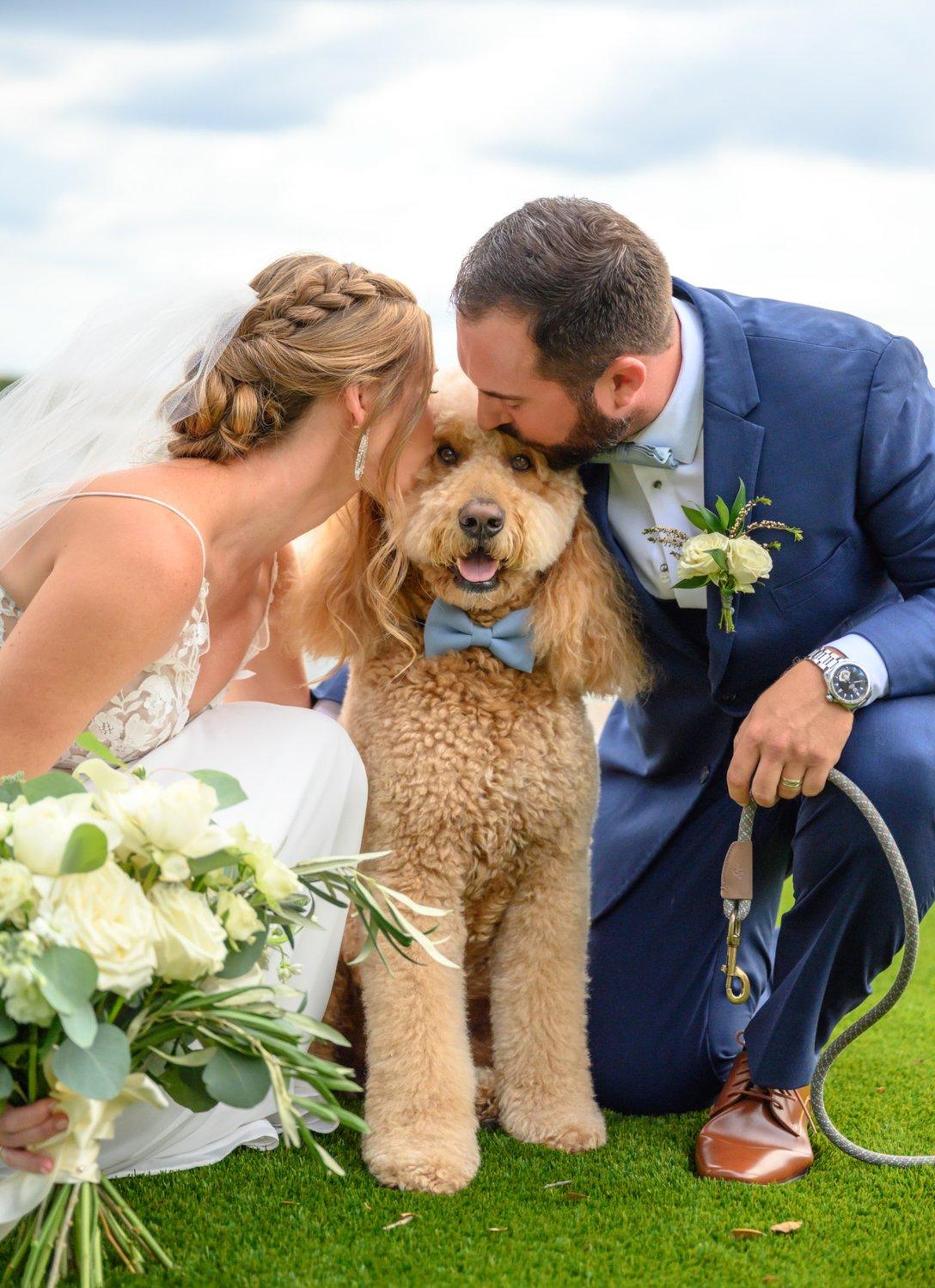 carousel-hero-element image-3