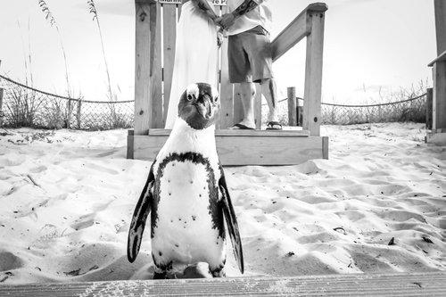 mobile - carousel-hero-element image-4