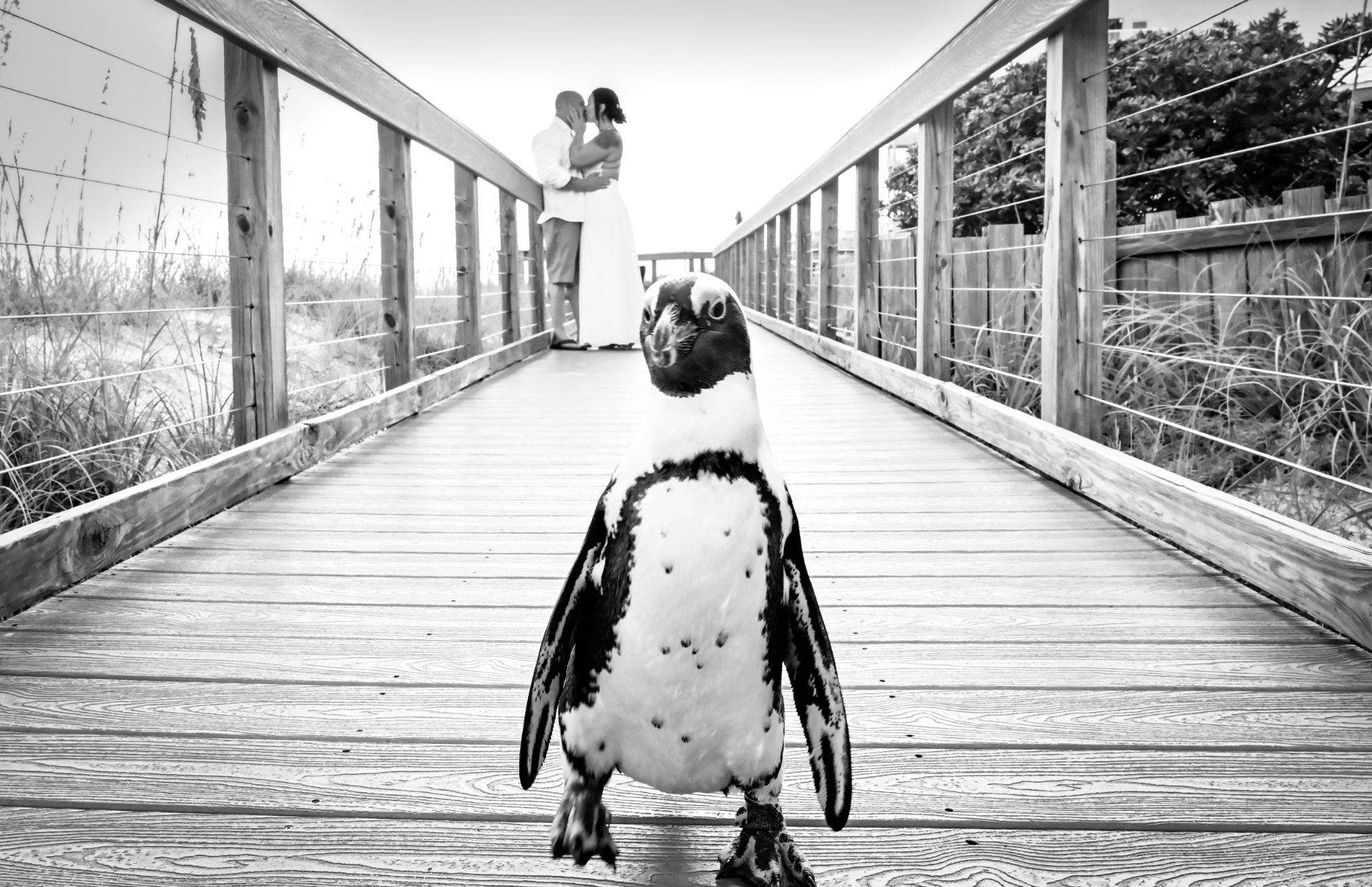 carousel-hero-element image-9