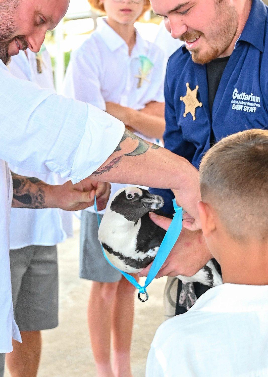 carousel-hero-element image-6